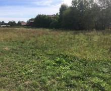 images/template/gallery1/trawniki-1.jpg