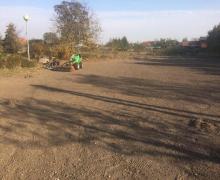 images/template/gallery1/trawniki-3.jpg